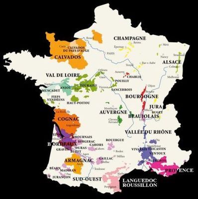 AOC:法國葡萄酒的成功密碼_經(jīng)濟臺_中國網(wǎng)絡電視臺