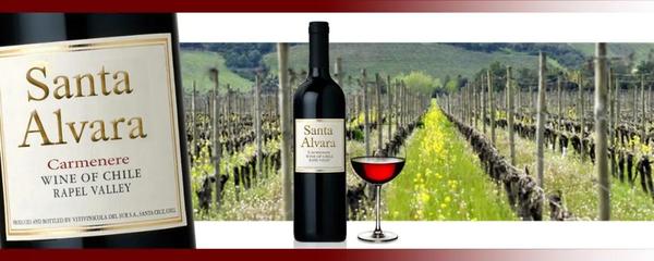 當日特價兩個月銷量的TOP8產品排名出來了!冠軍居然不是法國葡萄酒,就是。