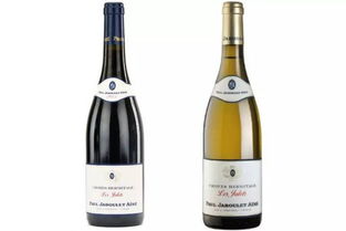 不知道這個酒莊,別說你懂法國葡萄酒