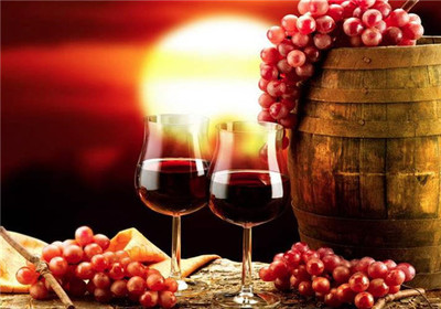 【楓露莊園葡萄酒加盟】